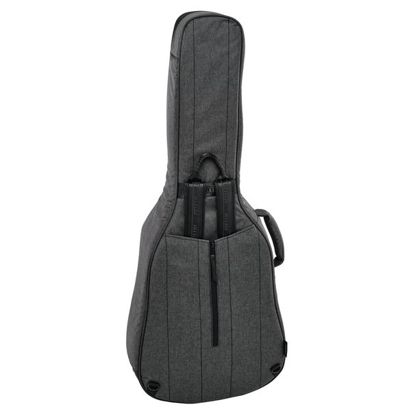 Ritter Bern Dreadnought Guitar ANT