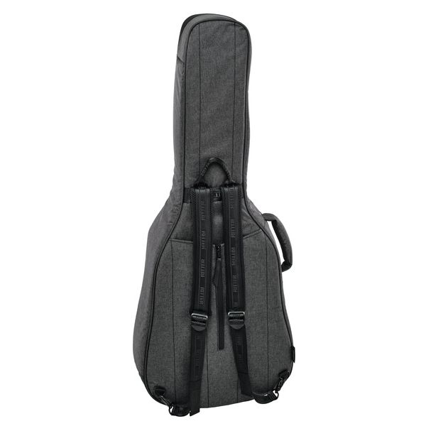 Ritter Bern Dreadnought Guitar ANT