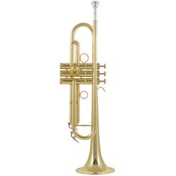 Bb Trumpets